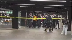 Grand Central Station stabbing suspect shot by police dies