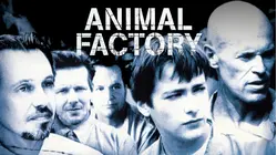 Animal Factory [Broadcast Edit]