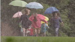 All Kinds Of Weather