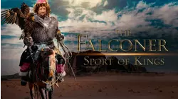 The Falconer Sport of Kings