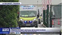 French hantavirus patient critically ill, being treated with artificial lung