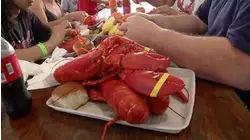 Lobster Fishing and Sofas