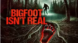 Bigfoot Isnt Real