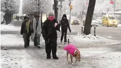 El Noreste de EE.UU. le hace frente a temperaturas mucho más bajas de lo habitual para la época
