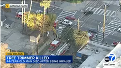 Tree trimmer fatally impaled by fence after fall in Canoga Park, LAFD says