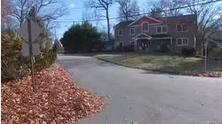 Montvale, NJ residents urged to be on alert after woman bitten by fox