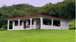 Tirotean 'La Casita' que inspiró a Bad Bunny