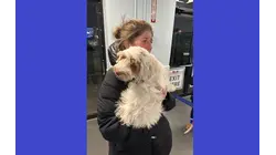 Owners reunited with puppy taken when SUV was stolen in Florham Park