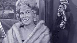 Jed Cuts the Family Tree