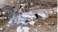 People Are Awesome vs. FailArmy
