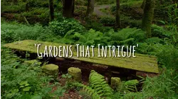 Gardens That Intrigue