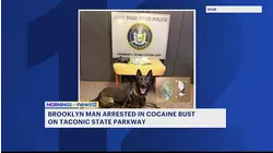 Brooklyn man arrested in cocaine bust on Taconic State Parkway