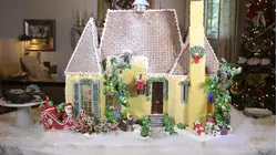 Countdown to Cookie