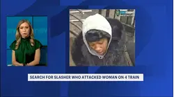 Woman wanted for slashing another woman with box cutter on the 4 train in Morris Heights