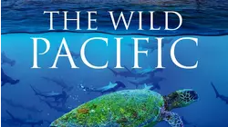 The Wild Pacific