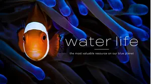 Water Life
