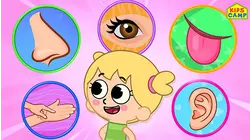5 Senses Song