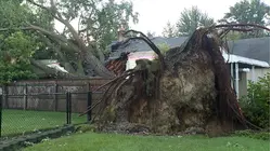 Tornado warnings as 50 million+ on alert for severe storms