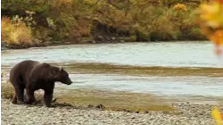 The Great Outdoors S2:E9 "Alaska Part 2"