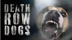 Death Row Dogs