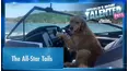 World's Most Talented Pets