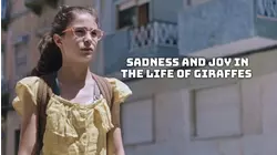 Sadness And Joy In The Life Of Giraffes