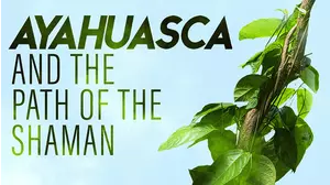 Ayahuasca and The Path of the Shaman