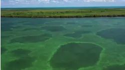Uncharted Waters Peter Miller S2:E2 "Miami Grand Slam"