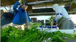 Cada vez más negocios de diferentes rubros se están afectando por las deportaciones