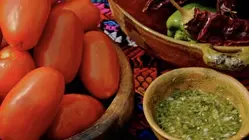 Living Life in Colour