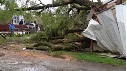Powerful Tornadoes Destroy Homes and Businesses in Midwest