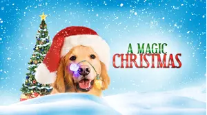 A Magic Christmas