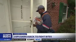 USPS shares list of cities with the most dog attacks on letter carriers
