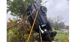 Car ends up lodged in tree after dramatic I-78 crash