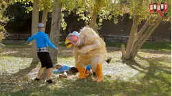 The Aquabats! Super Show!: S1 E3 - Mysterious Egg!