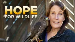 Hope For Wildlife