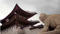 Kildare to South Korea
