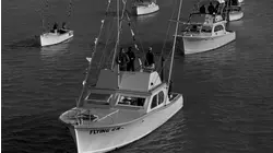 A World of Opportunities