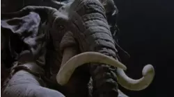 The Heart of the Elephant Pt2