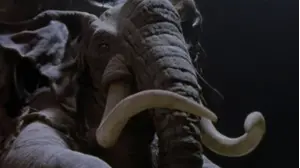 The Heart of the Elephant Pt2