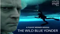 The Wild Blue Yonder