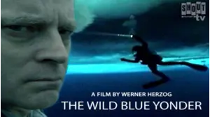The Wild Blue Yonder