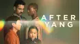 After Yang