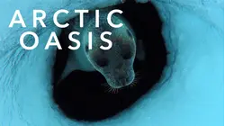The Arctic Oasis