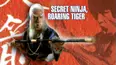 Secret Ninja, Roaring Tiger