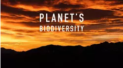 Planet's Biodiversity
