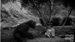 Little Rascals Shorts: Bear Shooters