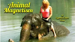 Animal Magnetism