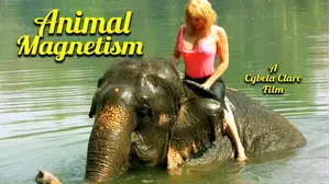 Animal Magnetism