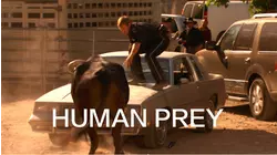 Killer on the Loose: Raging Bull